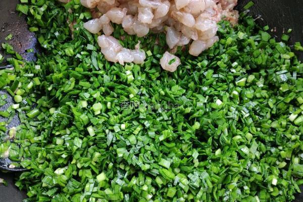 韭菜虾仁鲜肉饺的做法图解4
