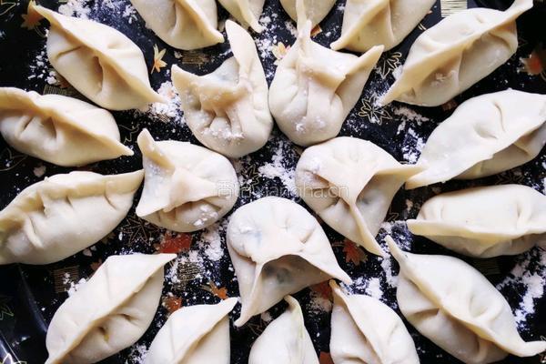 韭菜虾仁鲜肉饺的做法图解11