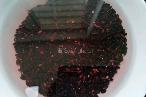 红枣黑米粥的做法图解1