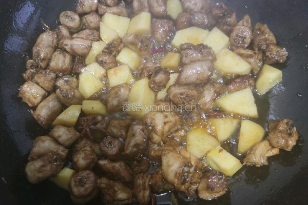 土豆炖鸡脖的做法图解4