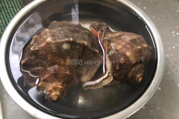 爆椒海螺的做法图解1