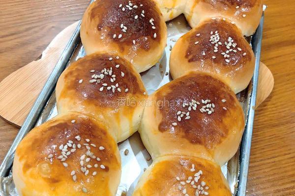 蜂蜜小餐包的做法图解12