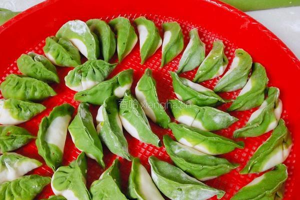 翡翠白菜饺子的做法图解6
