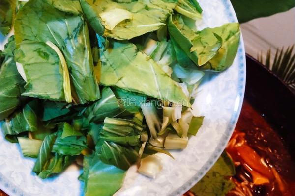 农家黄花菜粉汤的做法图解13