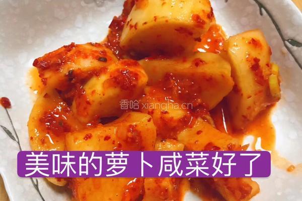 韩式萝卜咸菜的做法图解9