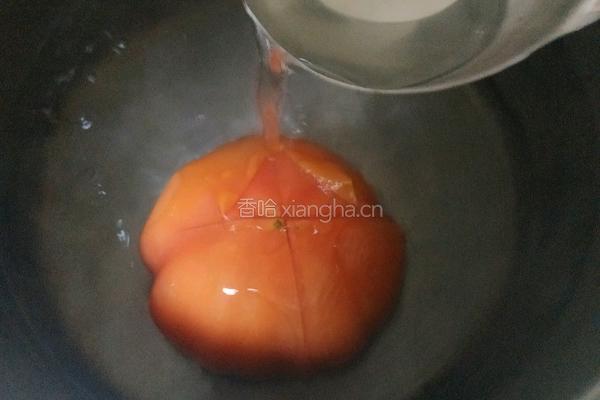 正宗俄式罗宋汤的做法图解6