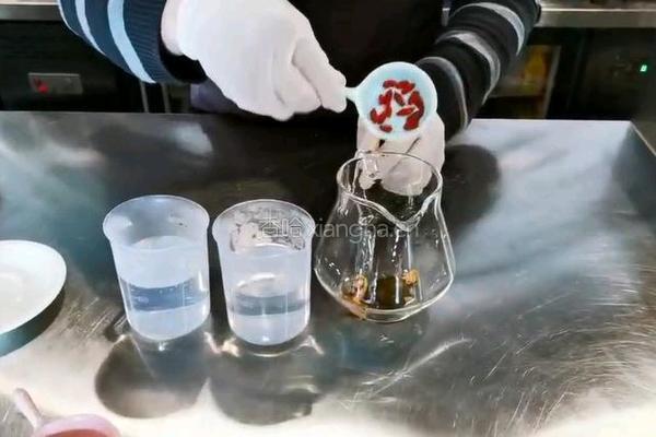 防疫饮品l罗汉果雪梨蜂蜜水的做法图解1