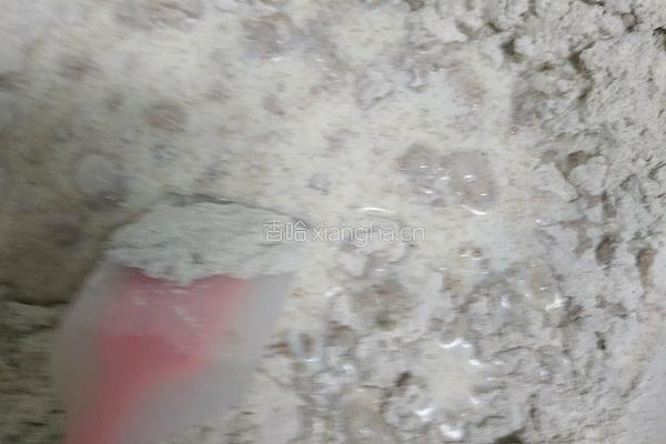 懒人快手免揉全麦小面包的做法图解4