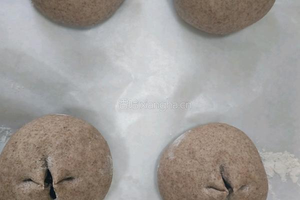 懒人快手免揉全麦小面包的做法图解17