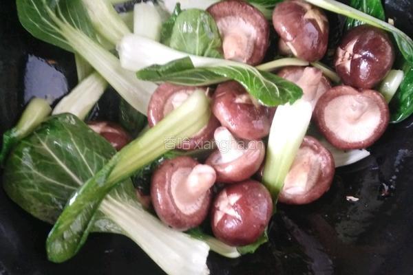 香菇油菜的做法图解3