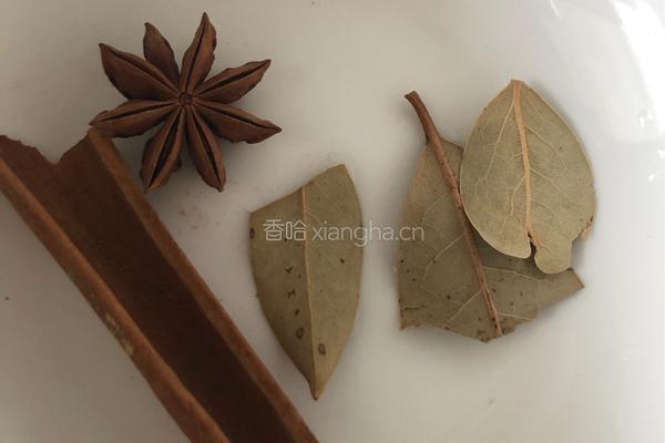 牛肉炖萝卜的做法图解7