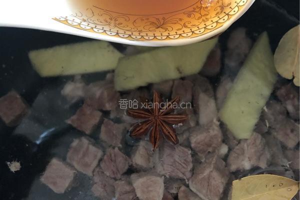 牛肉炖萝卜的做法图解8