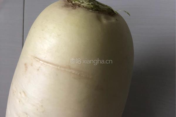 牛肉炖萝卜的做法图解9
