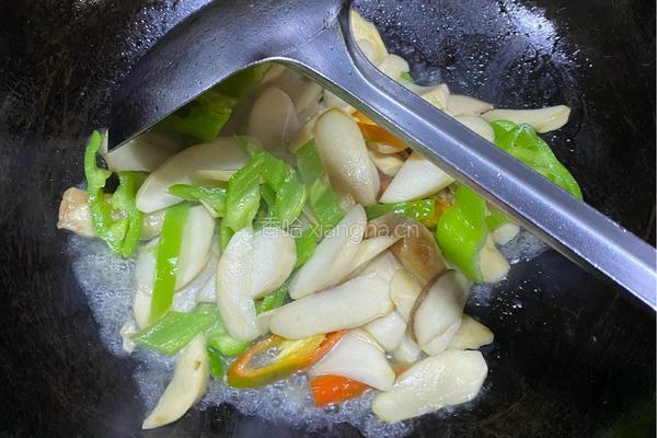 清炒杏鲍菇的做法图解4