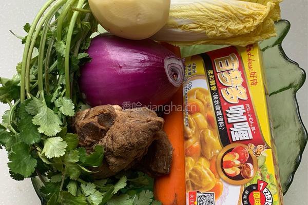 好侍咖喱牛肉饭的做法图解1