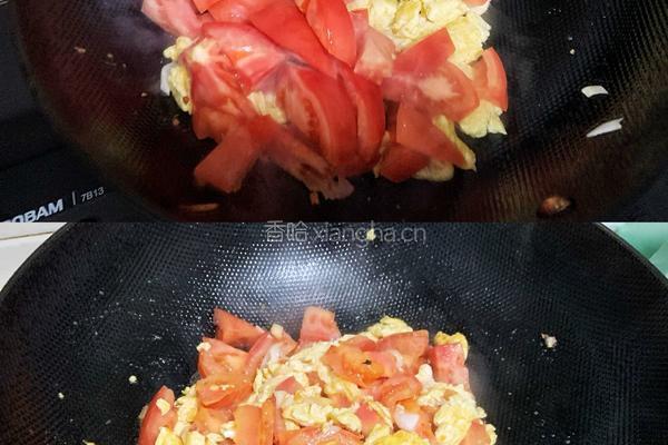 主食伴侣-番茄炒蛋的做法图解5