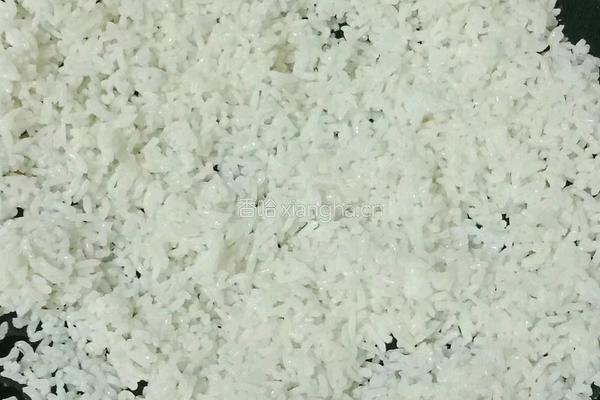 彩椒蛋炒饭便当的做法图解6