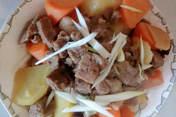 萝卜炖牛肉的做法图解10