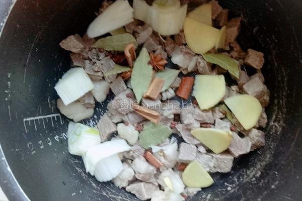 萝卜炖牛肉的做法图解8