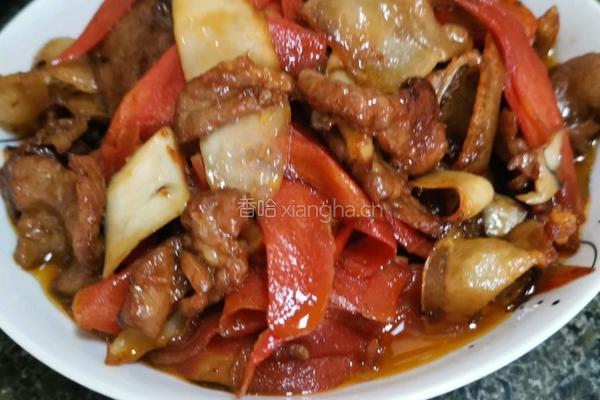 胡萝卜杏鲍菇炒肉的做法图解18