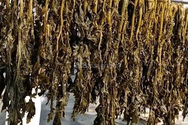 梅干菜的做法图解6