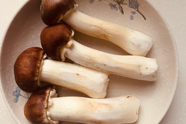 大球盖菇鲜笋炒肉片便当的做法图解1