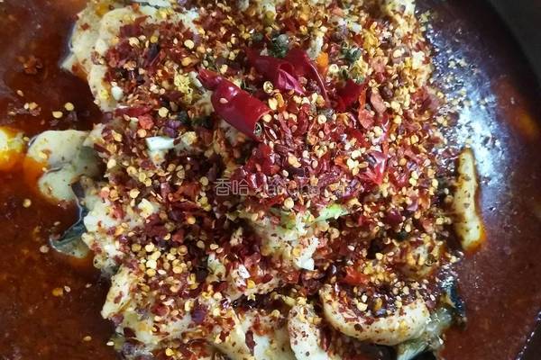 麻辣水煮鱼的做法图解7