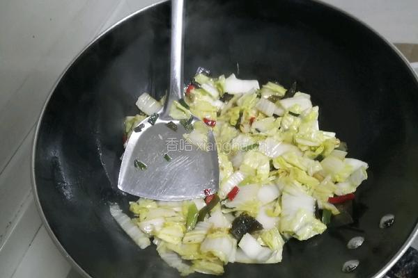 酸辣白菜炒宽粉的做法图解4