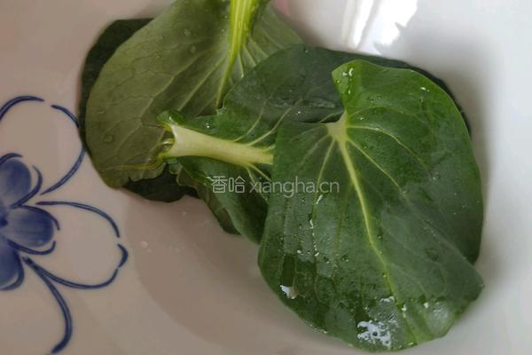 炒肉末便当的做法图解7