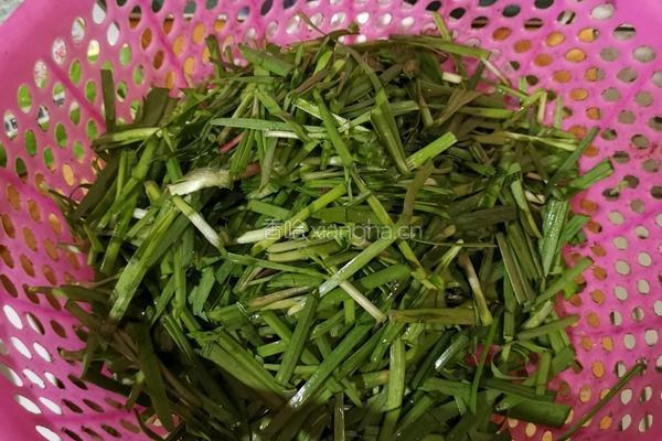 韭菜炒鸡蛋的做法图解1