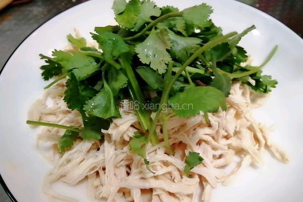 麻辣手撕鸡的做法图解4