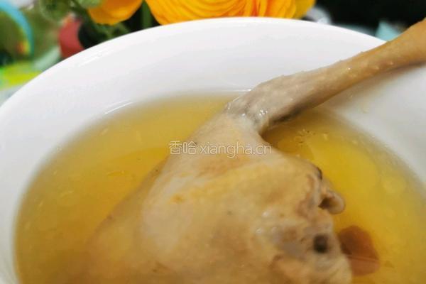 花旗参炖乳鸽汤的做法图解6
