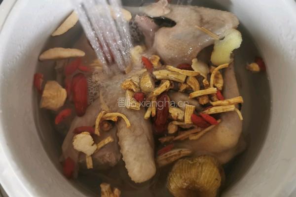 花旗参炖乳鸽汤的做法图解4