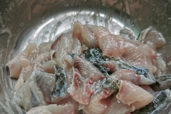 麻辣口水鱼的做法图解4