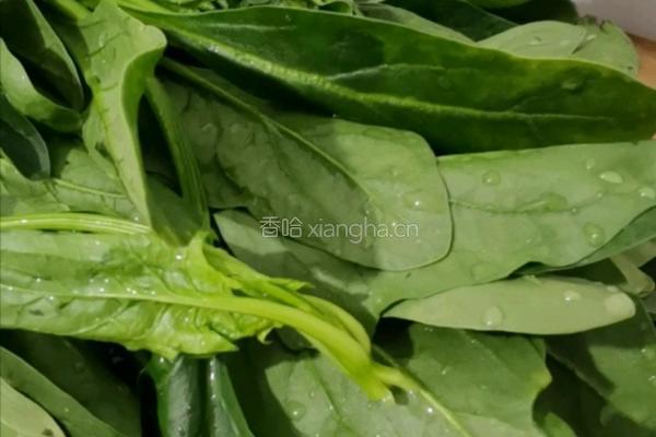 菠菜汤的做法图解2