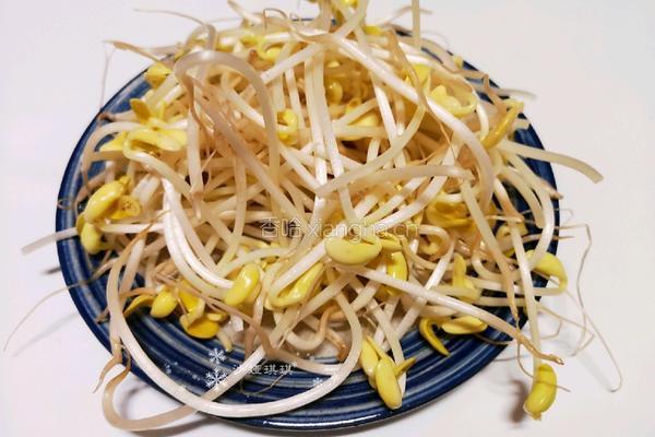 韭菜炒豆芽的做法图解4