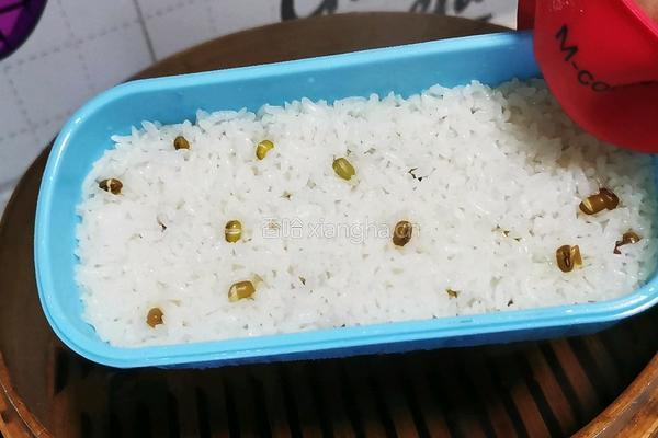 酸豇豆炒肉沫便当的做法图解9