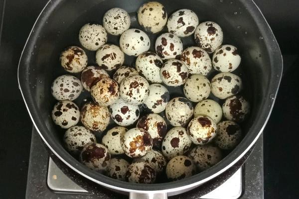 卤菜便当的做法图解1