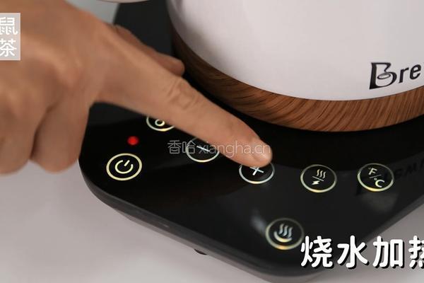 四季春茶汤的做法（松鼠茶茶奶茶教程）的做法图解1
