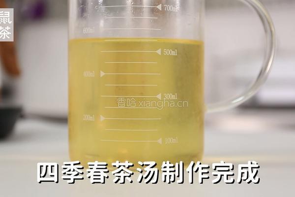 四季春茶汤的做法（松鼠茶茶奶茶教程）的做法图解8