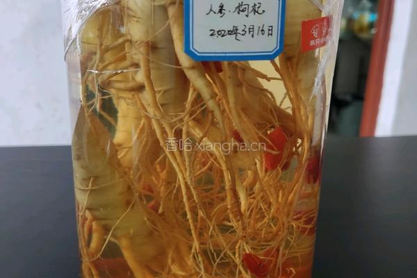 人参酒的做法图解6