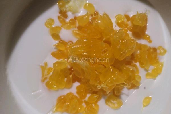 双皮奶的做法图解5