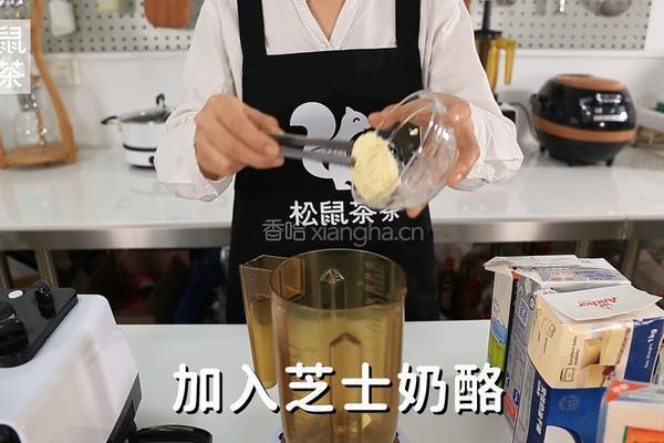芝士奶盖的做法（松鼠茶茶奶茶教程）的做法图解1