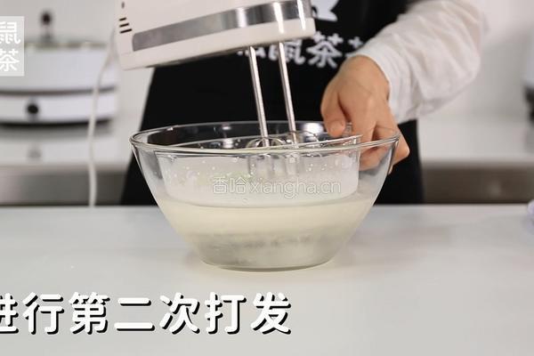 芝士奶盖的做法（松鼠茶茶奶茶教程）的做法图解9