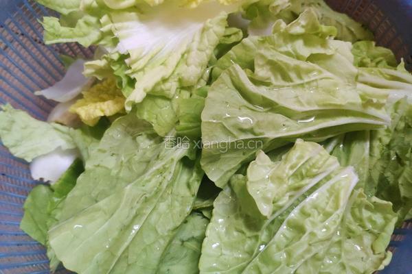 豆瓣白菜的做法图解1