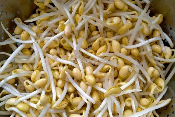 牛肚豆芽汤的做法图解3
