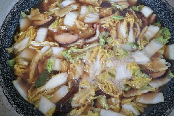 白菜猪肉炖粉条的做法图解7