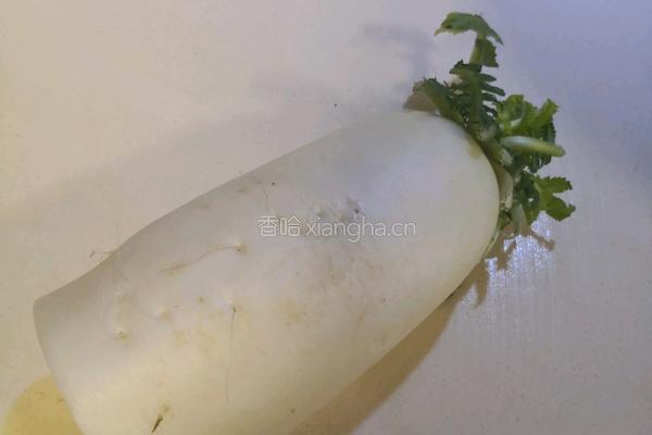 东北白萝卜炖牛肉的做法图解1