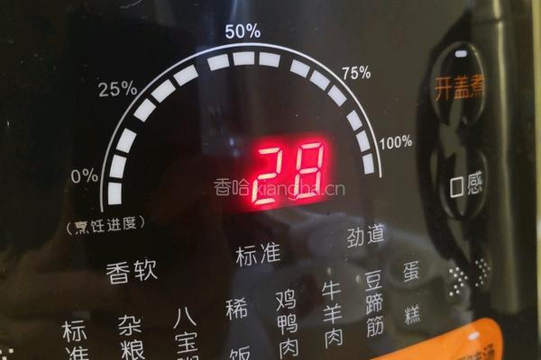 东北白萝卜炖牛肉的做法图解8