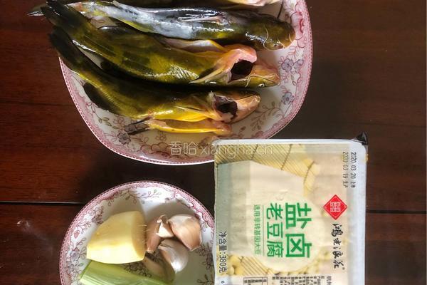 豆腐昂刺鱼的做法图解1
